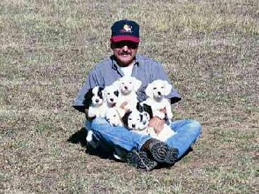Quality Puppies