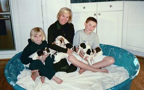Tekoa Mountain Raychel's Pups