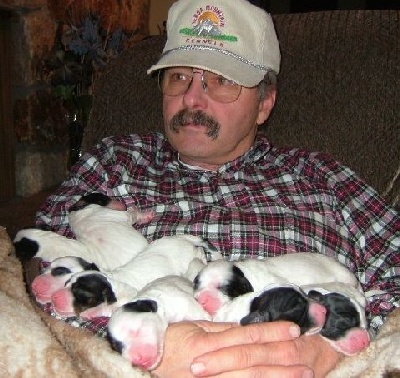 Quality Puppies
