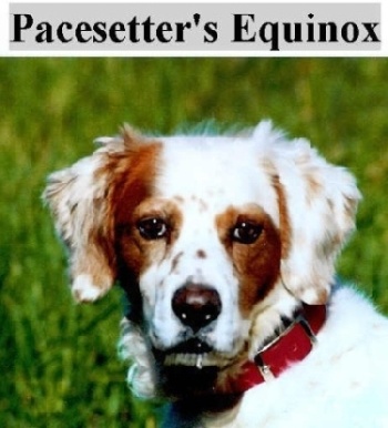 Pacesetter's Equinox - "Ted"