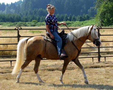 Traveler and Mardelle