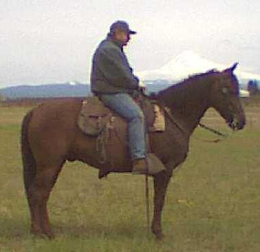 Carino del Prado 