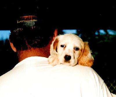 Lassy 2002 pup #9